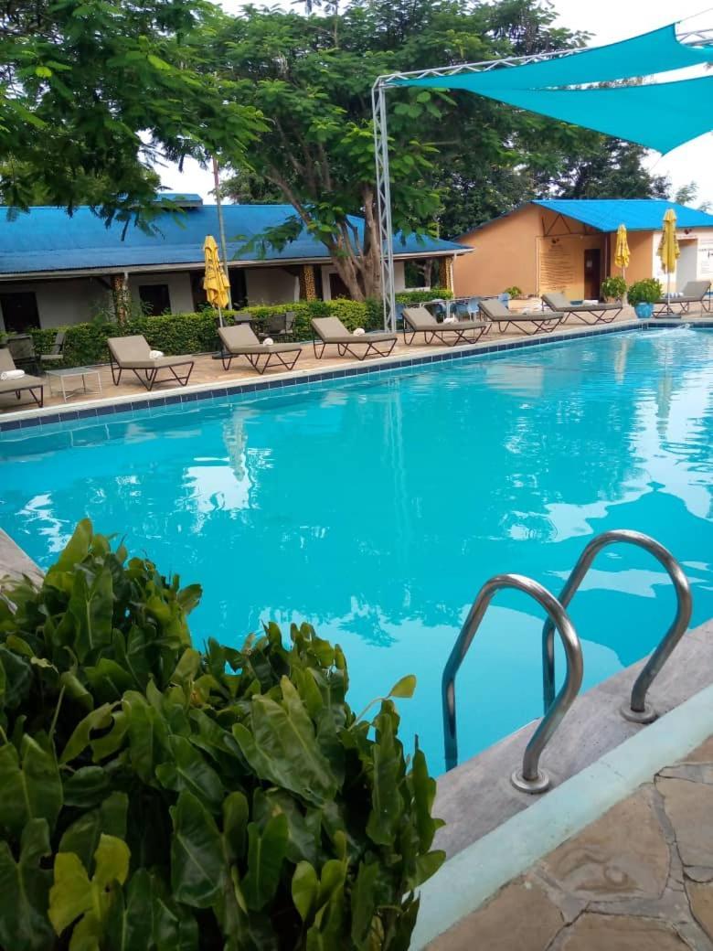 Andrea Tour And Hotel